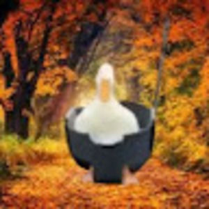 Meet your Posher, Alvin